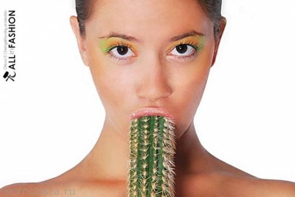 Подборка забавной эротики от 18-05-2014