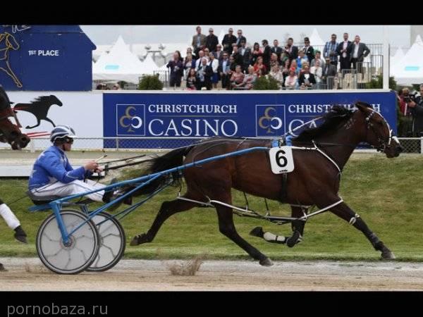 Trotting Cup: парад немыслимых нарядов и бодиарта