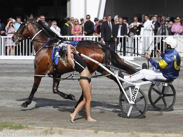 Trotting Cup: парад немыслимых нарядов и бодиарта