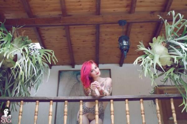 Участница проекта Suicide Girls Красотка Fernanda