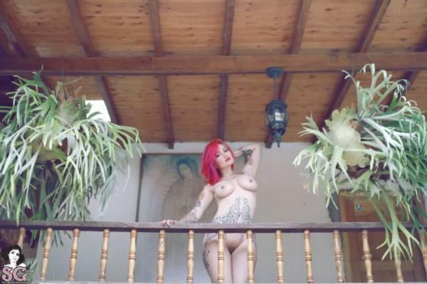 Участница проекта Suicide Girls Красотка Fernanda