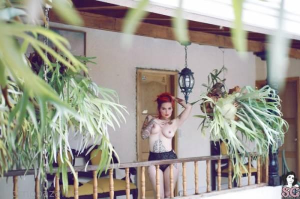 Участница проекта Suicide Girls Красотка Fernanda