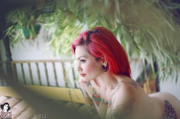 Участница проекта Suicide Girls Красотка Fernanda